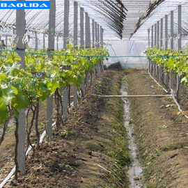 質  Small Greenhouse Irrigation System / Greenhouse Auto Watering System 工場