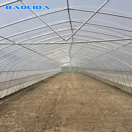 質  Tomato Growing Naturally Ventilated Greenhouse Plastic Film Greenhouse 工場