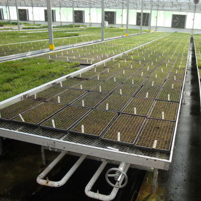質  Modern Aluminum Greenhouse Ebb Flow Table With Drain Tray Valve 工場