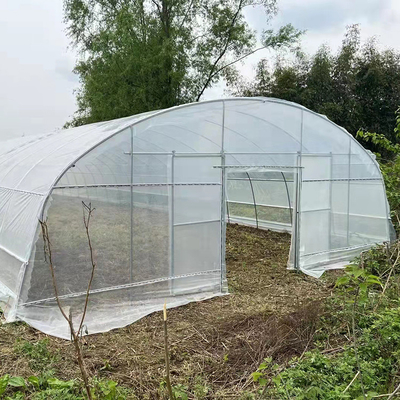 質  Strawberry Growing Side Ventilation Single Span Greenhouse For Agriculture 工場