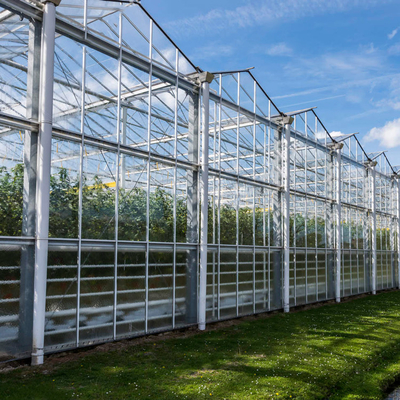 野菜のためのHydroponic成長するシステム農業の太陽ガラス温室