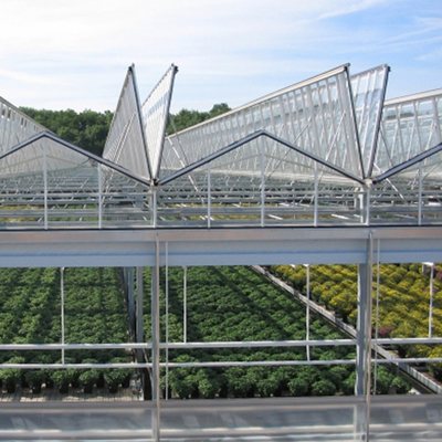 48mmのコラムが付いている農業の緩和されたガラス フェンロー タイプ温室