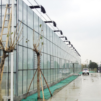 48mmのコラムが付いている農業の緩和されたガラス フェンロー タイプ温室