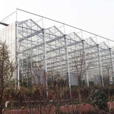 フルーツの花のためのフェンローの農業の透明なタイプ温室