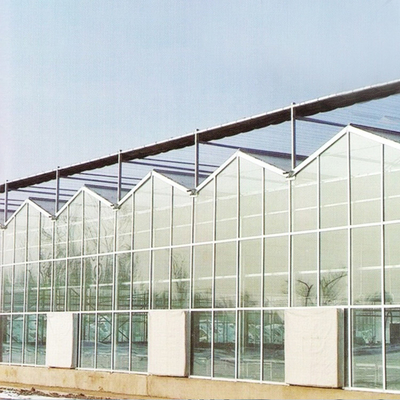 フェンローの和らげられたガラスは鉄骨フレームの温室のヨーロッパのオート機能にパネルをはめる