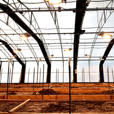 農業の停電ライト剥奪の温室は十分に自動化した