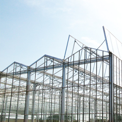 野菜水耕栽培フェンローはトマトの成長のためのガラス温室Multispanを和らげた