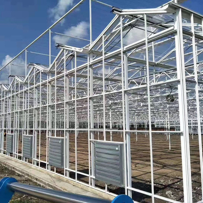 多スパンの鉄骨構造のフェンローのガラス温室のガラス繊維のカバー1000m2