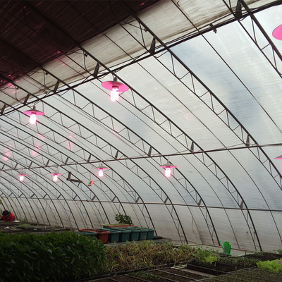 従来の農業の低放射能区域の受動の太陽温室