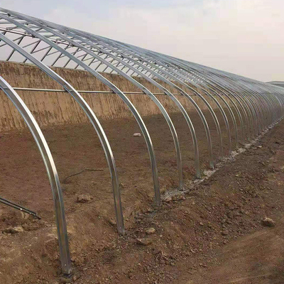 トマトのためのHydroponic養樹園の完全なシステム フィルムの受動の太陽温室