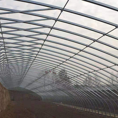 トマトのためのHydroponic養樹園の完全なシステム フィルムの受動の太陽温室