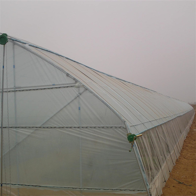 農業の植物の成長のための電流を通された鋼管の単一スパンのフィルムの商業トンネルのプラスチック温室