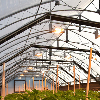 軽いDEPは野菜のための停電の温室の黒のカーテン材料を自動化した