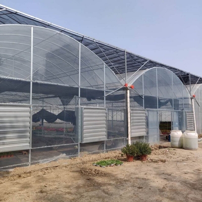 大きいAgrocultureのプラスチック フィルムのCoverdの透明な200ミクロンの多スパンの温室