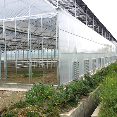 Seedbedの養樹園のいちごの植わることのための多スパンのトンネルのプラスチック温室