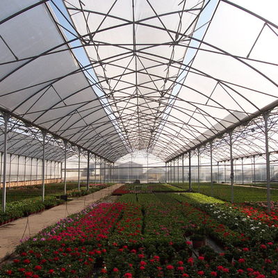 高いトンネルのプラスチックPolyhouseの多スパンの温室の農業の完全なシステム