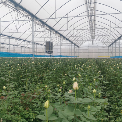 プラスチック透明な多スパンの温室の農業の横窓サポート