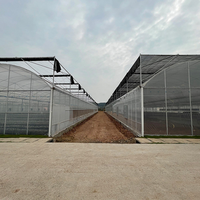 システム トマトの冷却装置を影で覆うトンネルが付いている商業多スパンの温室