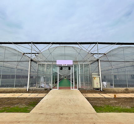 プラスチックシートの大規模の鉄骨フレームの温室の多スパンの温室を植える農業