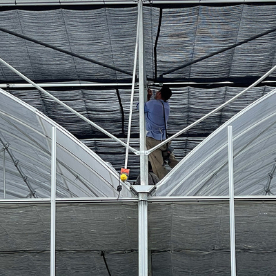 Serre Invernaderoのトマトの理性的なフィルムと農業多スパンの温室