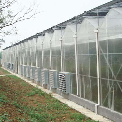 農業Hydroponicシステム ポリカーボネート シートの温室の多スパン30 x 100