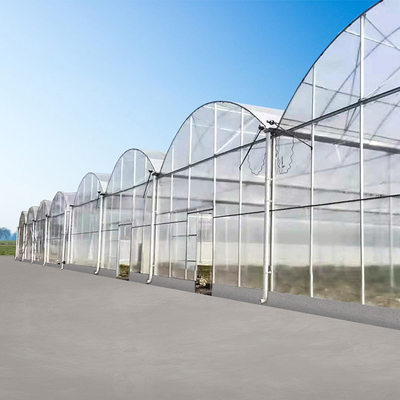 農業Hydroponicシステム ポリカーボネート シートの温室の多スパン30 x 100