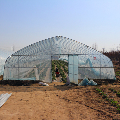 コショウの成長のための成長のトンネルのプラスチック フィルムの温室を耕作する農業