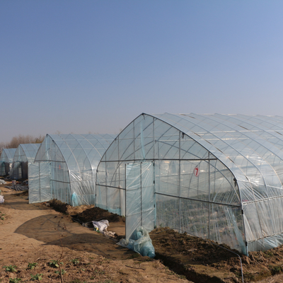 農業の成長を植えるいちごのための単一のトンネルのプラスチック フィルムの温室