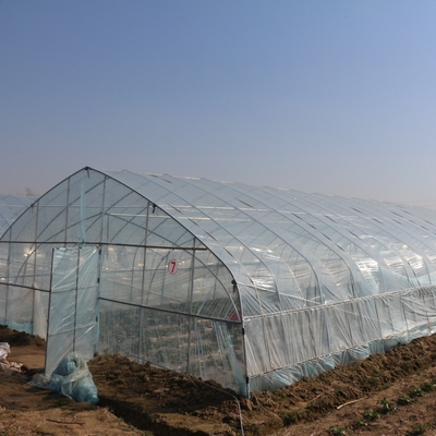 農業の成長を植えるいちごのための単一のトンネルのプラスチック フィルムの温室