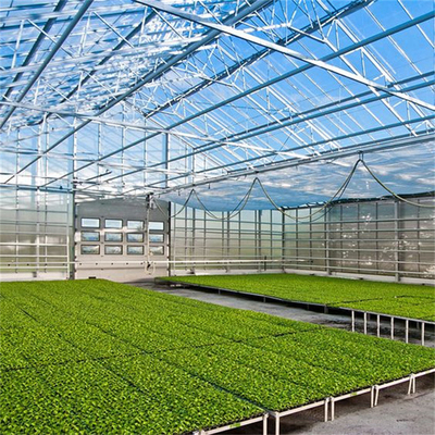 野菜/きのこ/花のための農業/産業庭の温室