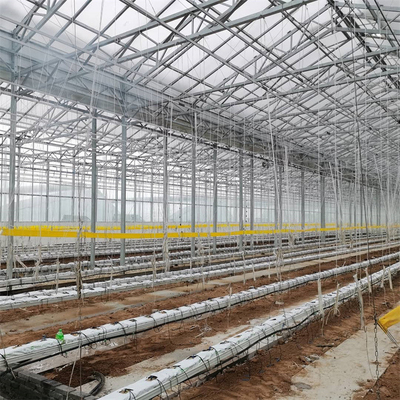 農業の多スパンの野菜栽培のための自動フェンローのガラス温室