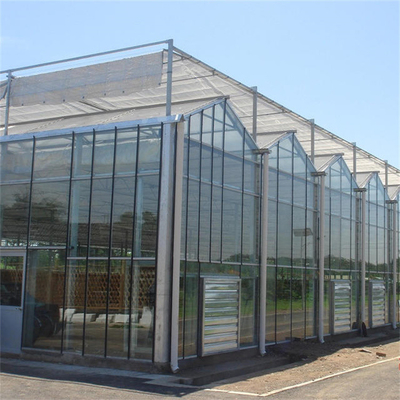 庭の冬カバーきのこの太陽ガラス温室の多スパンのフェンローのタイプ温室