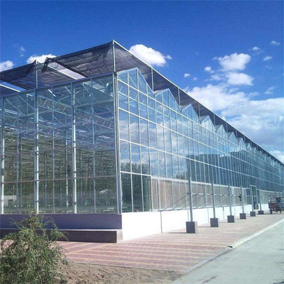 Hydroponic野菜のための緩和されたガラス パネルのフェンローのタイプ温室Multispan