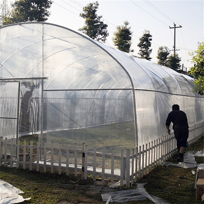 野菜栽培のための反露6の幅のトンネルのプラスチック温室