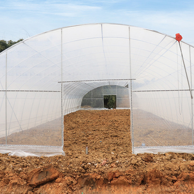 野菜栽培の実生植物のための単一のスパンの温室の農業の高いトンネル