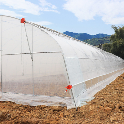 野菜栽培の実生植物のための単一のスパンの温室の農業の高いトンネル