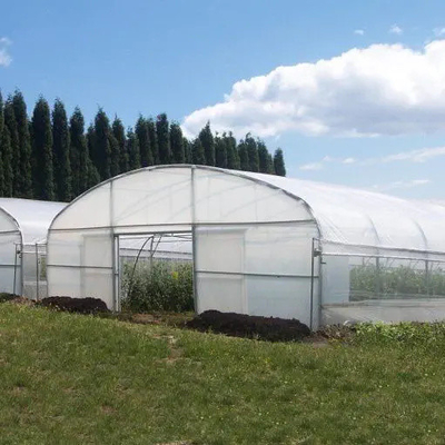 農業の植物の成長のための単一のスパンのプラスチック フィルムのトンネルの温室