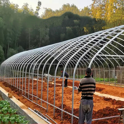 トマトのための商業農業の高いトンネルのプラスチック温室の単一のスパン
