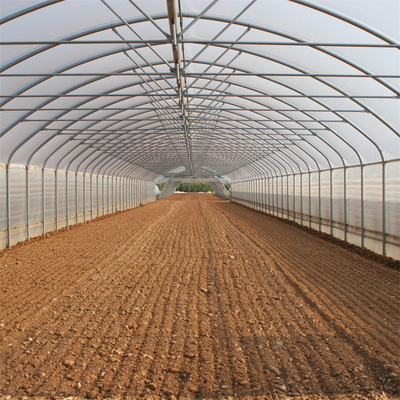 プラスチック トンネルのいちごのために農業単一のスパンの温室