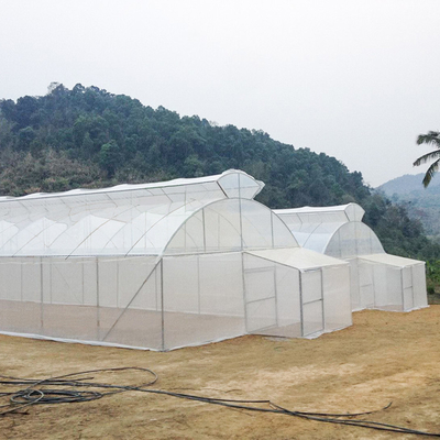 農業の単一のスパンの高放射能区域のための単一のトンネルの傘屋根の出口の温室