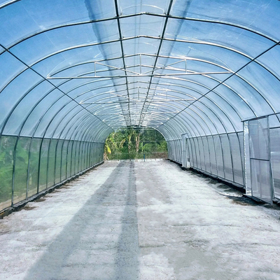 農業の単一のスパンの高放射能区域のための単一のトンネルの傘屋根の出口の温室