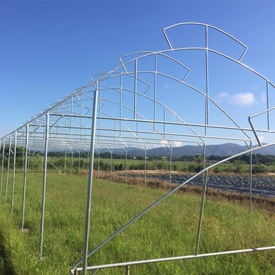 傘屋根の出口の熱帯地方のHydroponic成長のための単一のスパンの温室