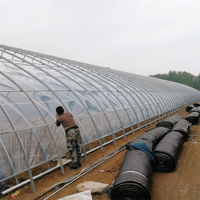 暖房装置が付いている農業のトマトの受動の太陽温室