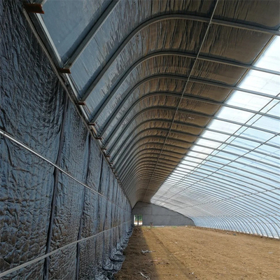 Hydroponic低放射能区域のためのキルトが付いているトンネルの受動の太陽温室の単一のスパン