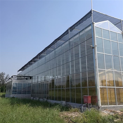 トマトのいちごのためにHydroponic Seedbedが付いている多スパンのフェンローのガラス温室