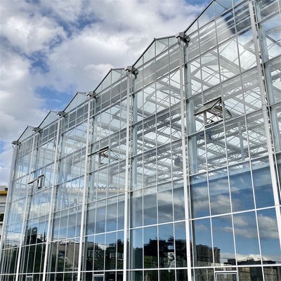フェンローは植物の農業Hydroponic緩和されたガラス温室の多スパンを自動化した