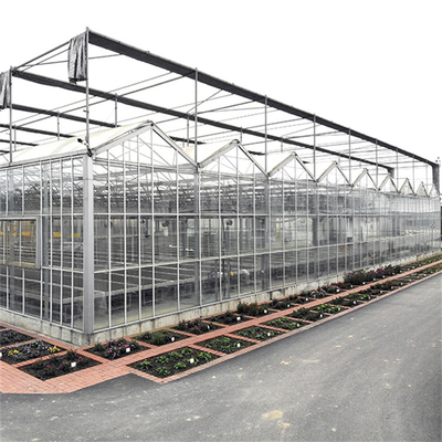 農業の花の温室ガラスの花の植わることのための産業屋外のMultispanのガラス専門のオランダの温室