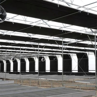 きのこのMultispanのカーテンの自動停電の温室のブラインドの溝は接続した