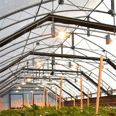 ターンキー プロジェクト米国は自動停電の温室の農業の植物の成長にトンネルを掘る