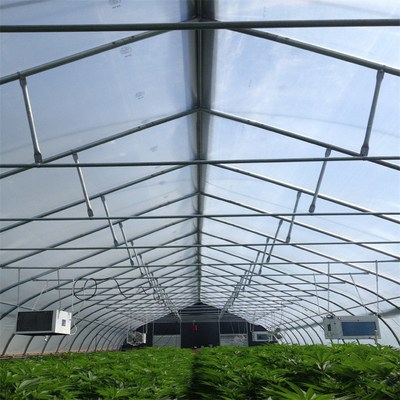 トンネルのフィルムの自動停電の温室のHydroponicアメリカ農業軽いDEP